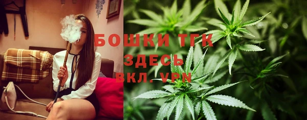 дживик Володарск